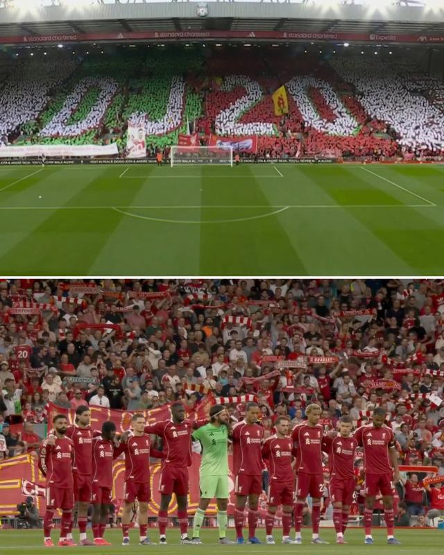 鲨鱼宝宝, 自己被这一, 越自我 鲨鱼宝宝, 自己被这一, 越自我