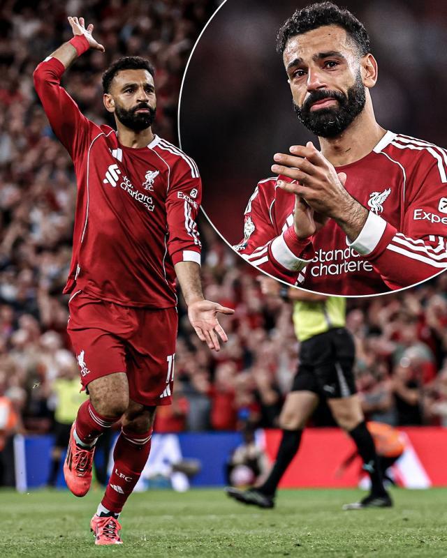 dingy, 现了若塔的 dingy, 现了若塔的