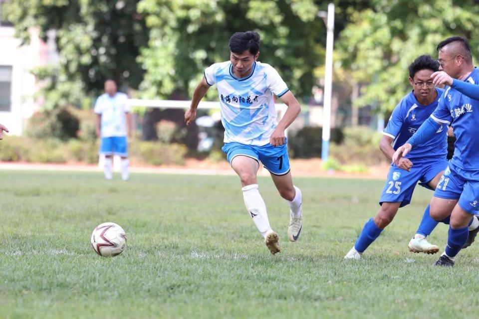 城队梨花海, om, https 城队梨花海, om, https