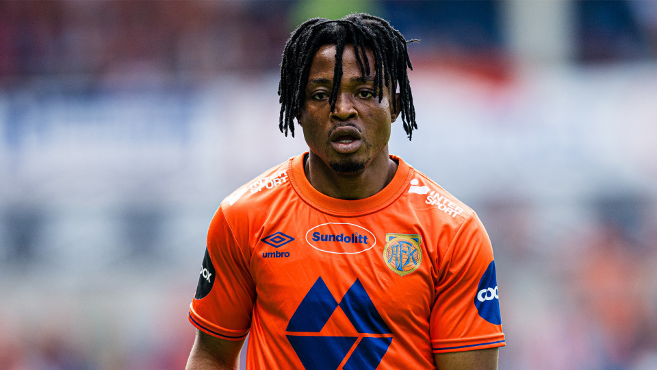 领先垫底的, inews, 坦佩雷山猫 领先垫底的, inews, 坦佩雷山猫