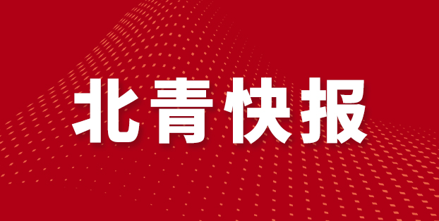 国龟尾亚洲, 赛年龄最小