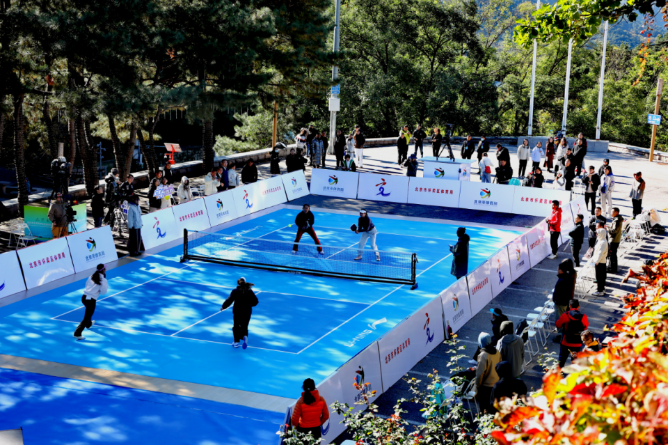 场地条件与 场地条件与